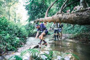 BIB: 
                            <button type="button" onclick="openModal(25435535)" class="btn btn-primary btn-sm float-right btn-popup" data-toggle="modal" data-target=".modal-high-quality">
                        <i class="fas fa-shopping-cart"></i> Add to Cart
                    </button>
                                            <button type="button" onclick="isThisMe(25435535, true)" class="btn btn-success btn-sm float-right btn-popup btn-isme hidden" data-toggle="tooltip" data-placement="bottom" title="นี่คือรูปของคุณใช่ไหม คลิกที่นี่เพื่อเอาเข้าอัลบั้ม">
                        <i class="fas fa-plus"></i> Add to album
                    </button>
                    <button type="button" onclick="isThisMe(25435535, false)" class="btn btn-warning btn-sm float-right btn-popup btn-isnotme hidden">
                        <i class="fas fa-ban"></i> Remove from album
                    </button>